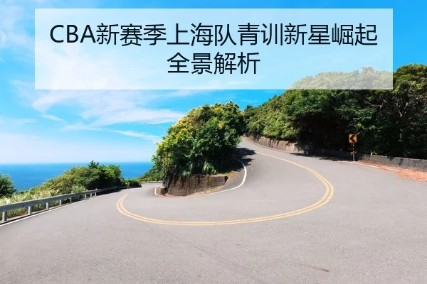 CBA新赛季上海队青训新星崛起全景解析